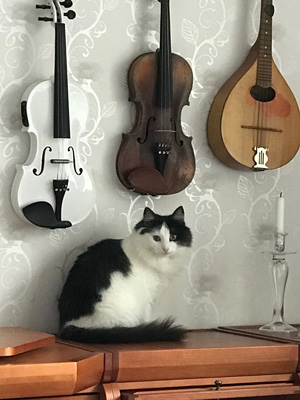 Lumikki